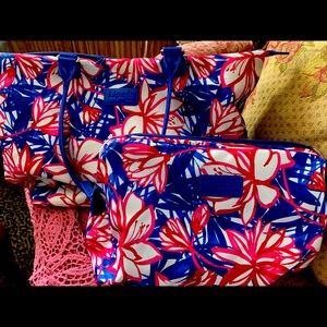 Tote bag and insulated swimsuit bag